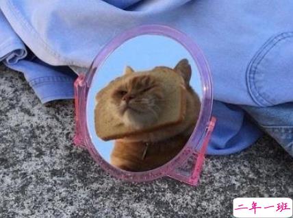 爸妈哪些言行让你怀疑自己可能是捡来的 雷死人的回答1