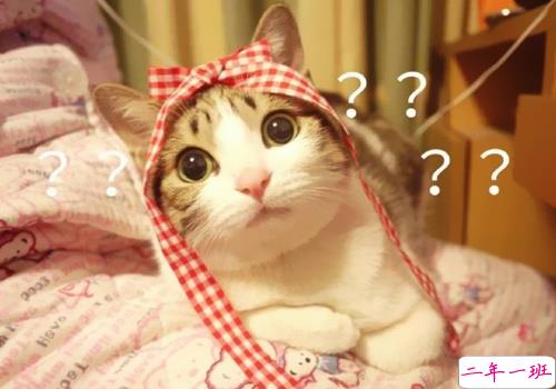 特别好笑又好玩的搞笑说说大全 让人捧腹大笑的搞笑内涵说说1