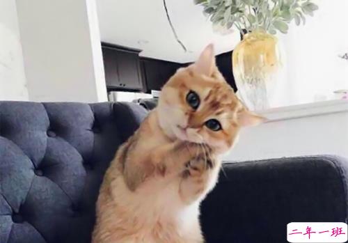 特别好笑又好玩的搞笑说说大全 让人捧腹大笑的搞笑内涵说说2