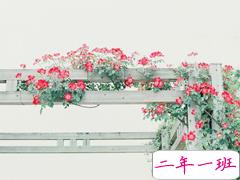 提起爱情就想哭的伤感说说 关于感情的伤感爱情说说