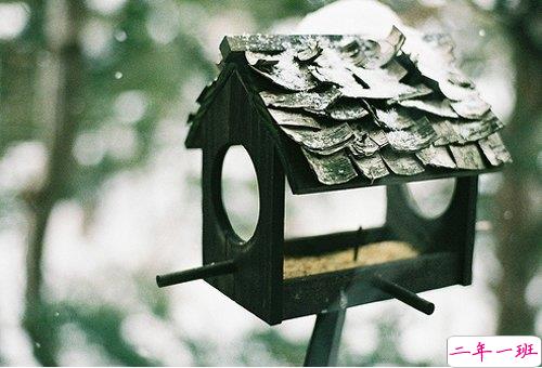 关于爱情的文艺浪漫的说说 很甜很撩人的爱情说说2