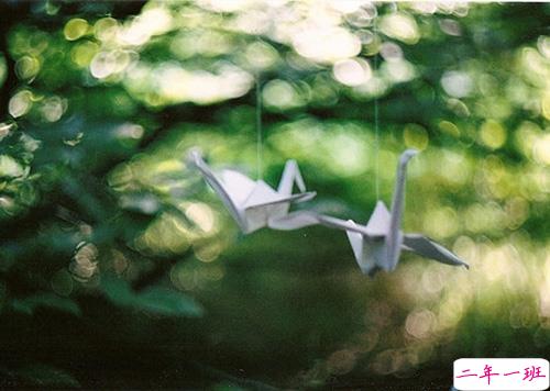 七夕写给喜欢的人的告白说说 情人节七夕表白的经典爱情说说大全2