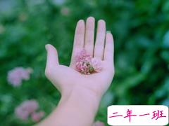 有点好笑又甜蜜的土味情话大合集 我是可爱的小姑娘你是可爱