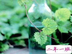 关于你我之间的爱情的说说 提到感情有些无措的爱情说说