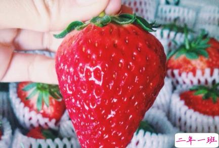 有关吃货的朋友圈说说大全1