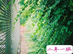 爱情中的孤独寂寞说说 每个人都曾在爱情中流泪的伤感说说