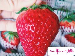 有关吃货的朋友圈说说大全