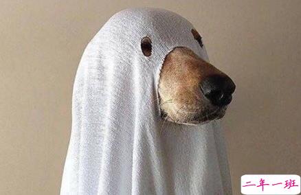 校园搞笑说说青春活力十足 生气的时候千万别冲我笑2