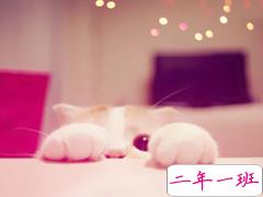 萌萌哒的可爱说说 惹人喜欢必评的可爱说说精选