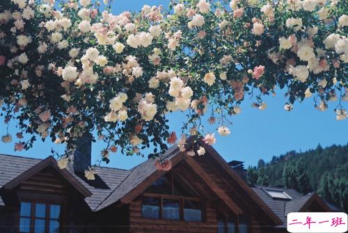 很喜欢对方的粉色少女心甜蜜温暖的爱情说说大全1