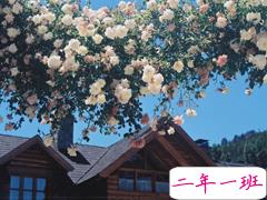 很喜欢对方的粉色少女心甜蜜温暖的爱情说说大全