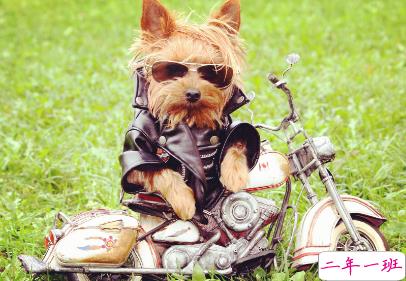 女人不花心，又怎么对得起貌美如花2