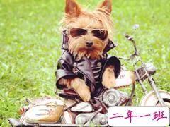 女人不花心,又怎么对得起貌美如花