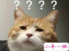 你最美,她化了妆也没有你化成灰好看