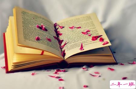 不想写作业的搞笑说说精选 与作业有关的幽默说说2