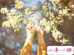 想说给你的一句心里话爱情说说 爱情说说很现实的说说