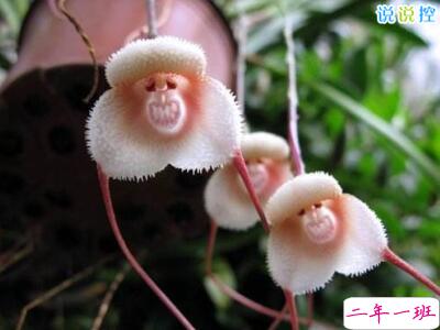 幽默句子大全爆笑，幽默句子说说心情2