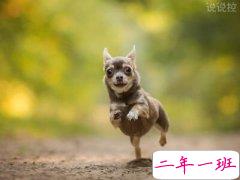 搞笑的朋友圈说说，适合发朋友圈的搞笑段子