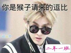 逗比说说别人必评，可以笑趴的逗比说说