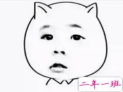 想和你对视，让你好好看清楚我的美