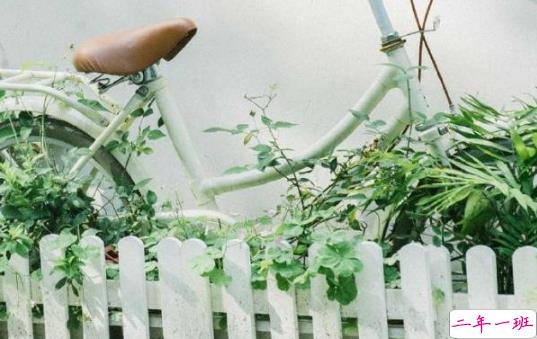 关于爱情最美好模样的治愈文艺说说1