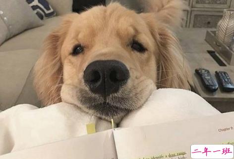 有自信的超拽说说00后：长话短说希望你喜欢我3