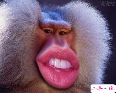 2018搞笑说说大全