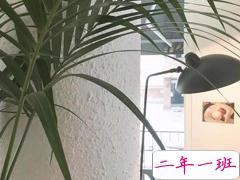 喜欢一个不喜欢自己的人发的伤感说说 寂寞孤独难过的心情