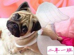 幽默搞笑的句子，最幽默的一句话