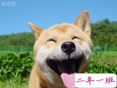 微信朋友圈万能神评论,微信朋友圈恶搞评论