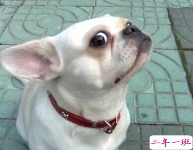 搞笑的说说句子