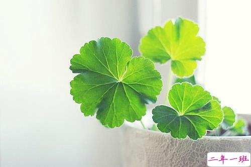 关于爱情的有些伤感但却很有道理的唯美文艺说说2