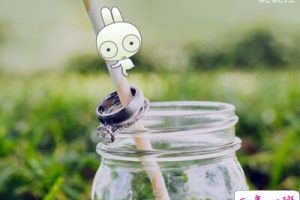 QQ搞笑说说大全：生活不只有眼前的苟且，还有数不清的作业