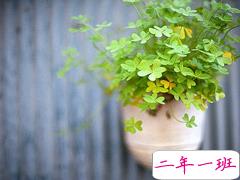 关于爱情的有些伤感但却很有道理的唯美文艺说说