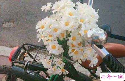 关于情感的句子说说配图 吸引人点赞的情感说说带图片5