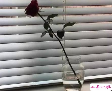 关于情感的句子说说配图 吸引人点赞的情感说说带图片6