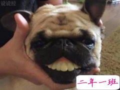 空间爆笑说说：谢谢那些曾经击倒我的人，躺着真的很舒服