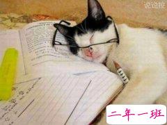 2018最新搞笑说说:曾经梦想仗剑走天涯,后来作业太多就没去