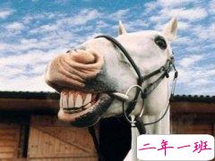 QQ搞笑说说段子：今晚，我托一只蚊子去找你，让它替我亲亲你