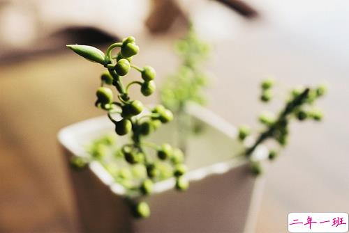 适合发说说的关于爱情的经典唯美句子 不想遇见更好的我想要的从始至终只有你1