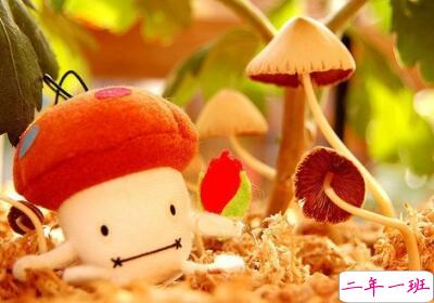 超级搞笑的说说，超级搞笑的段子