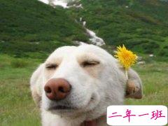 超级搞笑的说说,超级搞笑的段子