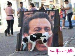 幽默的说说笑死人：你说你要和我共白头，我染完你又说我非主流