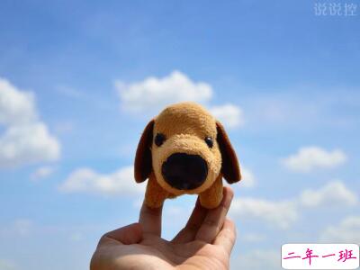 关于单身狗的说说，单身狗搞笑说说