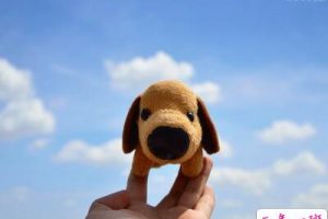 关于单身狗的说说，单身狗搞笑说说