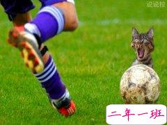 幽默搞笑的说说，幽默搞笑的段子