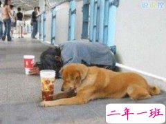 好玩又搞笑的说说，好玩的说说句子