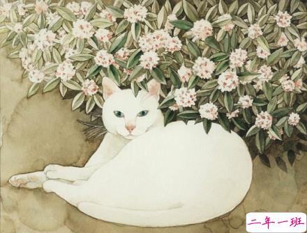 甜甜的少女心爱情说说 想为你唱一首小情歌2