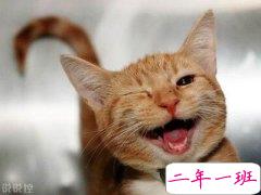 爆笑说说大全，爆笑笑话笑死人不偿命