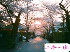 很火的句子唯美又简单精辟 生命是一袭华美的袍